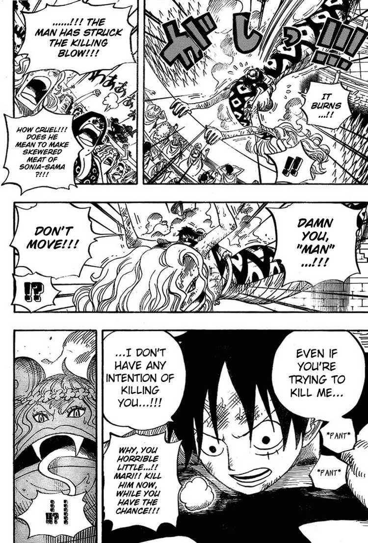 One Piece Chapter 520 14